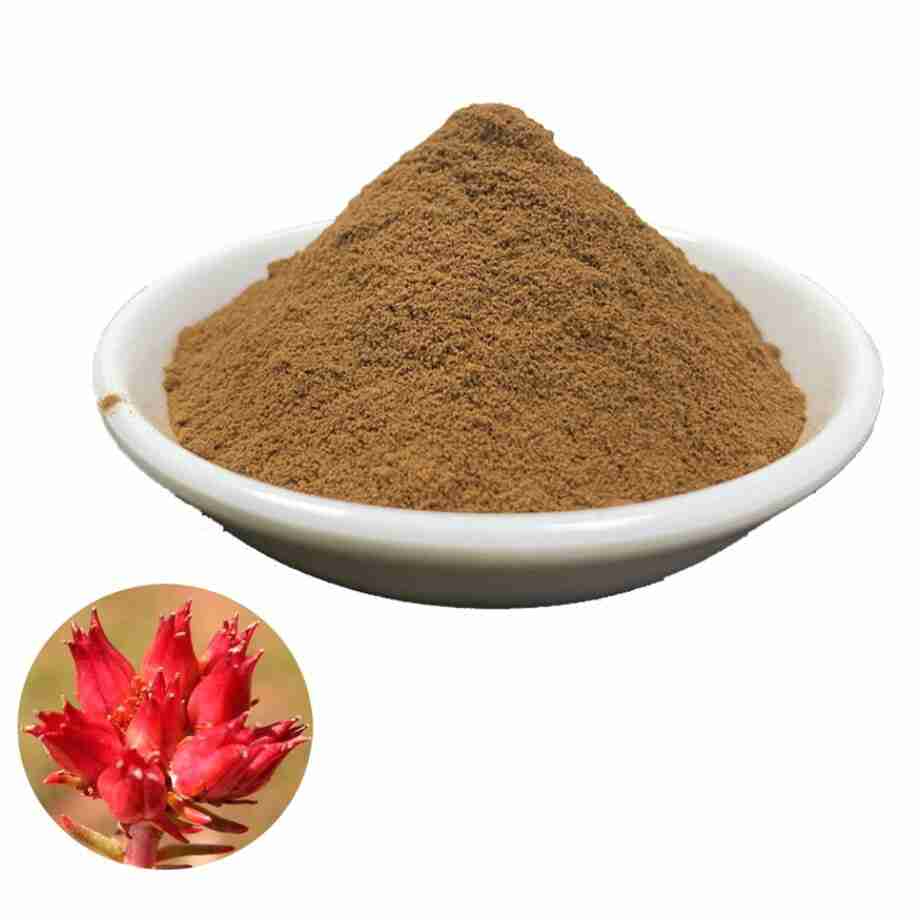 Rhodiola Rosea Siberian Dry Root - Powder