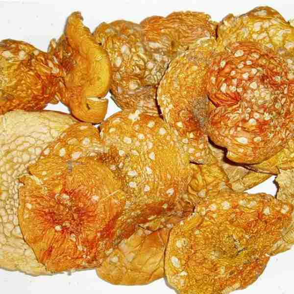 Amanita Muscaria Dried Ceremony and Microdosing
