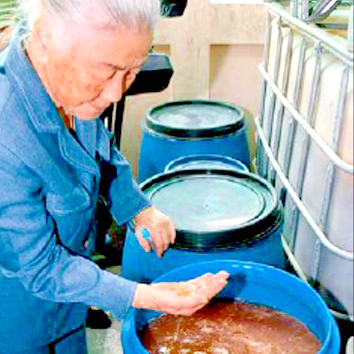 Fervida Ferments - Grapefruit - Effective Microorganisms - 10 Years
