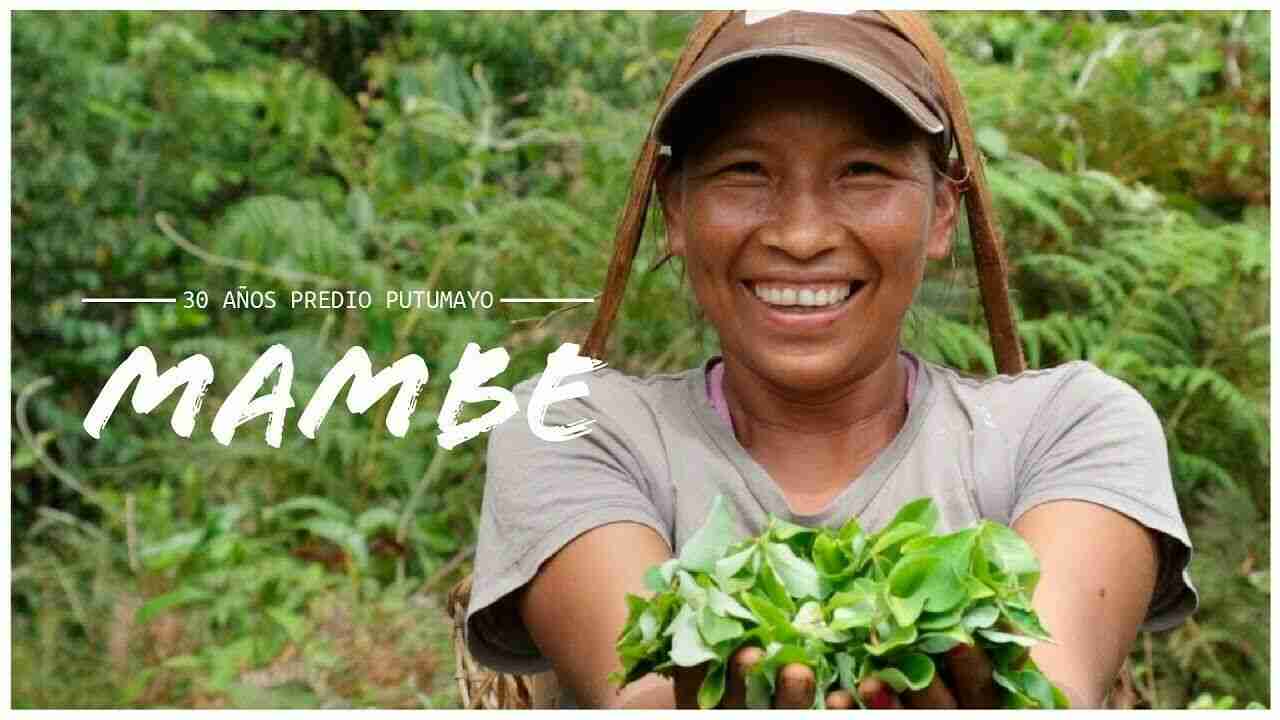 Mambe Ypadu Ready Alivio 100% Organic - Peruvian Style